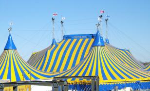 Как россияне относятся к выступлениям диких животных в цирках