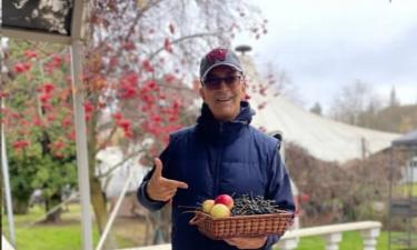 Александр Буйнов собрал виноград со своего участка в начале декабря