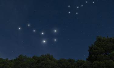 Чужая среди своих: психолог разбирает загадочный образ Ренаты Литвиновой