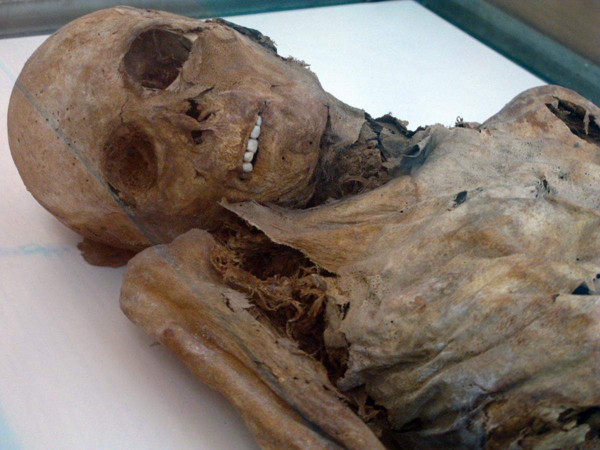 Мумии XIV века в Венцоне сохранились благодаря условиям крипты  Ancient Origins