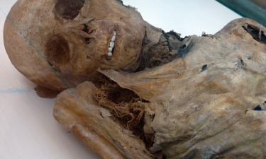 Мумии XIV века в Венцоне сохранились благодаря условиям крипты — Ancient Origins