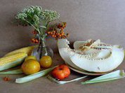 Экорынок РФ на грани прорыва или провала?