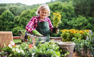 Почему в пандемию популярны спорт, выпечка и садоводство