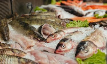 Новый производственный цех поднимет планку: 20 тонн рыбной продукции в день