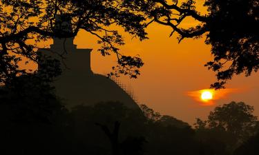 Не трогай жука, иначе сядешь: страшные законы Шри-Ланки, о которых нужно знать