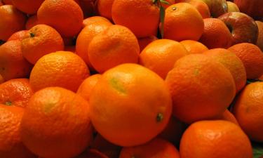 До шести мелких мандаринов в день допустимая норма — диетолог Софья Кованова