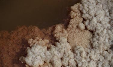 У острова Ормуз вода стала кроваво-красной, кадры облетели мир — Metro