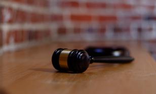 Владелец "Смешариков" инициировал 76 гражданских процессов из-за Нюши и Бараша