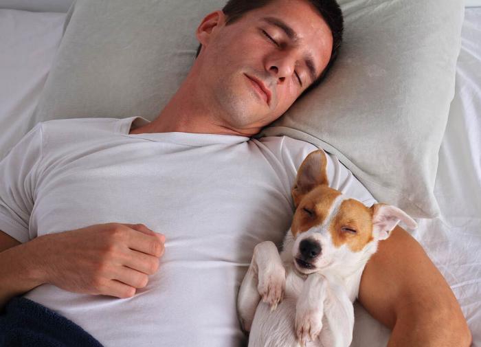 Сомнолог Кудинов: "Спать 10 часов - это плохо"