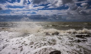 Начался заморный период в Азовском море: что это значит для рыбаков