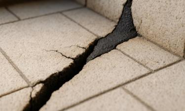 Учёные применили бактерии для восстановления цемента — ACS Omega