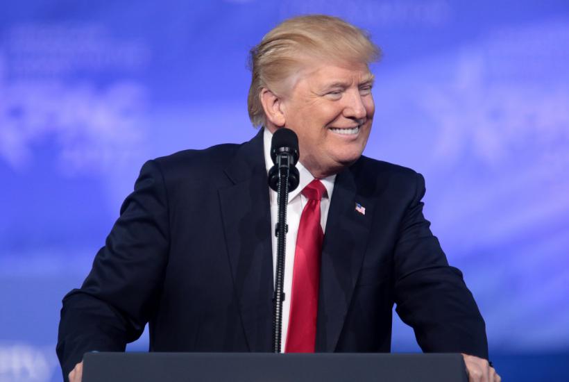 Трамп Трамп