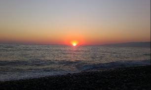 Рыбу убивают подводные "луга"