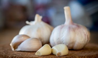 Исследователи подтвердили иммуномодулирующее действие чеснока — Journal of Nutrition