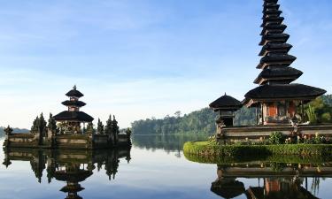 Рита Дакота получила травму головы в инциденте с деревянной балкой на Бали