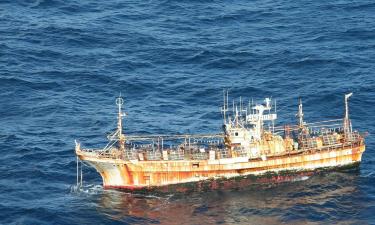 Больше трески, сельди и лосося: Россия значительно увеличила рыболовные показатели