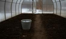 Год без фитофторы начинается в декабре: советский раствор добирается туда, куда химия не дотянется