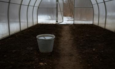 Раствор уксуса и перекиси защищает теплицу от грибков