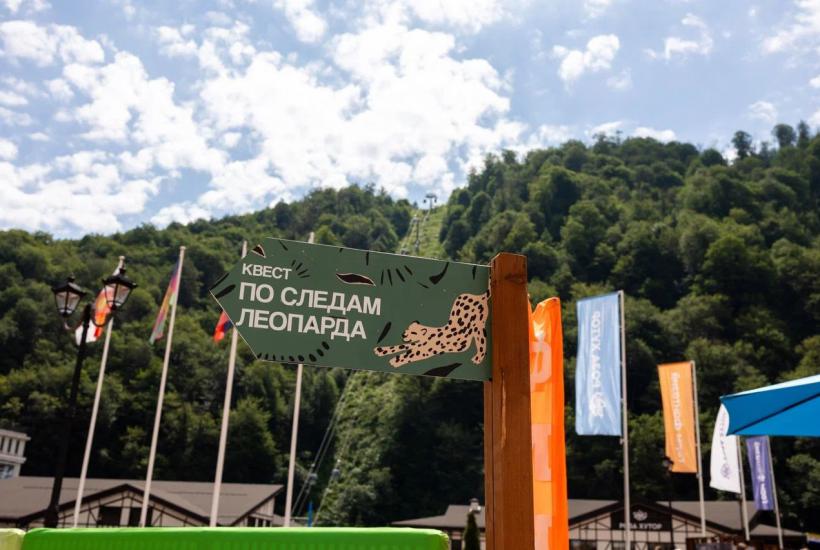 День леопарда на курорте Роза Хутор