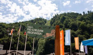 День леопарда отметят на Роза Хутор