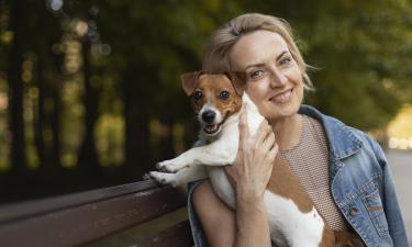 В отелях требуют справку о прививках животных — кинолог Алина Гайсина