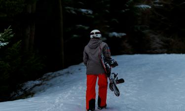 "Гарантированный" снег в Манали обманул ожидания туристов