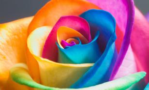 Цветолечение: практические рекомендации на каждый день