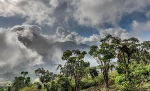 Чартерами на Занзибар можно будет улететь из шести городов России