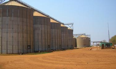 Экспорт сельхозпродукции Белоруссии вырастет до $9,2 млрд — вице-премьер Шулейко