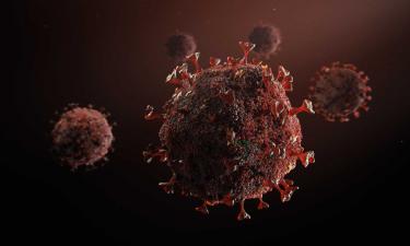 Новый штамм — старые проблемы: коронавирус снова заставил вспомнить первые годы пандемии