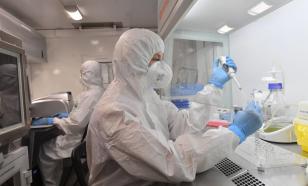 В Австралии хотят лечить COVID-19 чернушкой посевной