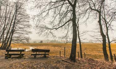Из любимого — в неизвестного: Полина Диброва элегантно вычеркнула Товстика из жизни