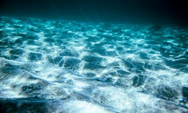 Тысячи рыбных гнёзд обнаружены подо льдами моря Уэдделла в Антарктиде — Earth