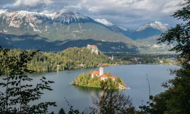 Эта европейская страна открыла двери для цифровых кочевников: узнайте все детали новой визы