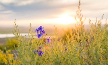 Найдено поселение бронзового века, оно изменит представление о кочевниках — археологи