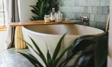 Спатифиллум и сансевиерия подходят для ванной без естественного освещения