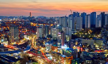 Обмен зонтиками и собаки в детских колясках: россиянка поделилась незабываемыми моментами из путешествия в Сеул