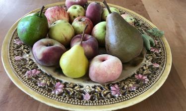 Специалисты по питанию сообщили, что груши содержат больше клетчатки, чем яблоки