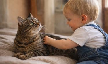 Кошки воспринимают маленьких детей как детёнышей, а не угрозу