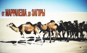 Первые африканские километры и первые сложности