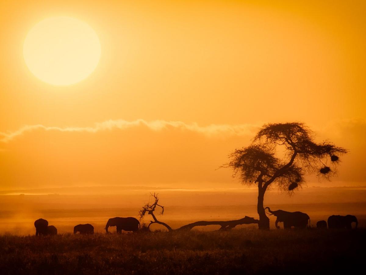 Африка разрывается на части, и это видно даже из космоса: шестой океан уже начал дышать под землёй