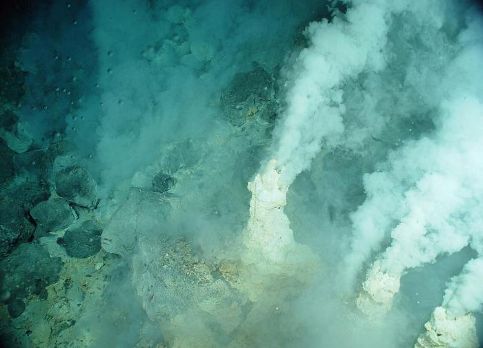 На дне Мёртвого моря обнаружены загадочные белые дымоходы