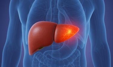 Восстановление печени после праздников может занять до 400 дней — профессор Каневская