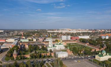 Тульская область создаёт новый продукт для гостей из Китая — центр туризма