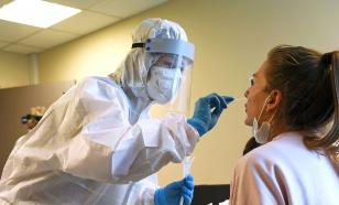 Вирусолог объяснила появление ошибочных результатов ПЦР-тестов на коронавирус