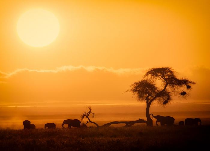 Почему перенаселение становится проблемой для планеты