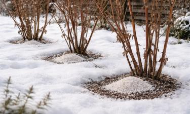 Почва оживёт на глазах: грядкам нужно то, что обычно без сожаления летит в мусор