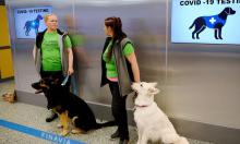 "Паспорт вакцинации": кому он нужен