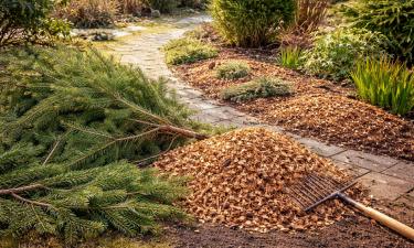 Натуральные ели разлагаются медленно в компосте