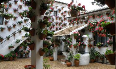 От дачи к миллиону: сколько можно заработать на аренде загородного дома